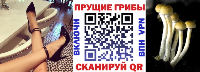 Галлюциногенные грибы MAGIC MUSHROOMS  купить  цена  Красноуральск 